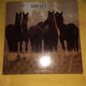 NEW HORSES 2007 HORSE PLATO CALENDARS